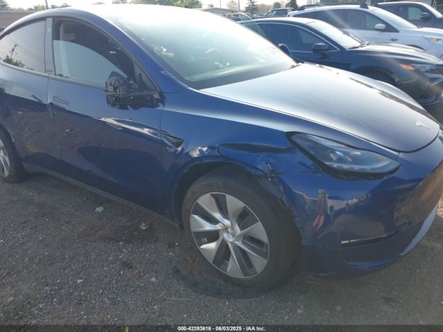 2023 TESLA MODEL Y 7SAYGDEE0PF671726 Photo 5
