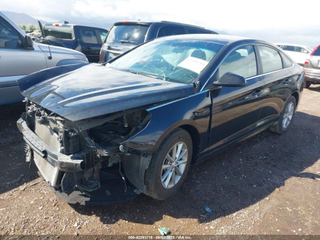 5NPE24AF9KH775557 Hyundai SONATA SE