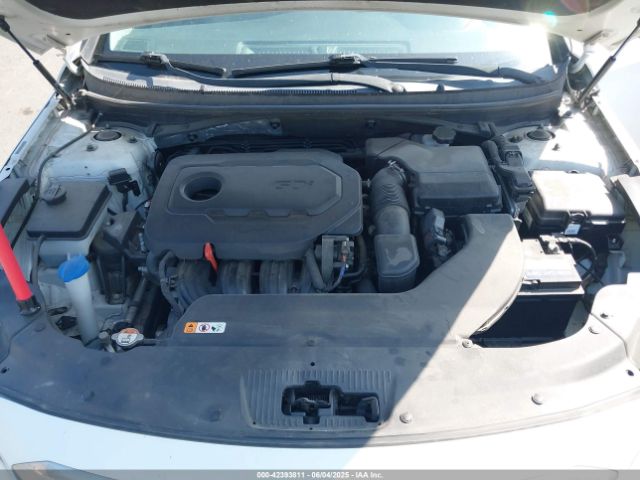 5NPE24AF1GH402245 Hyundai SONATA SE