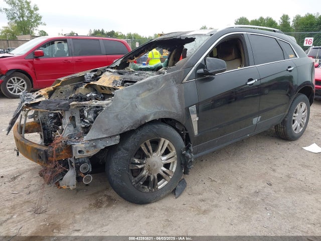 2011 CADILLAC SRX 3GYFNDEY4BS530981 Photo 1