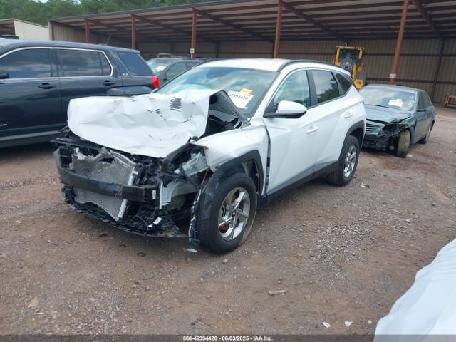 5NMJB3DE1RH422832 Hyundai TUCSON SEL