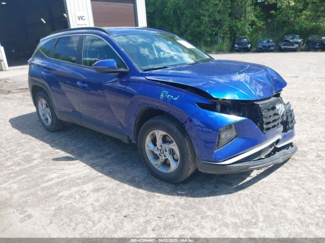 2023 HYUNDAI TUCSON 5NMJBCAE3PH227560