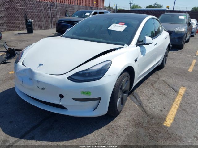 2023 TESLA MODEL 3 5YJ3E1EA9PF459142 Photo 1