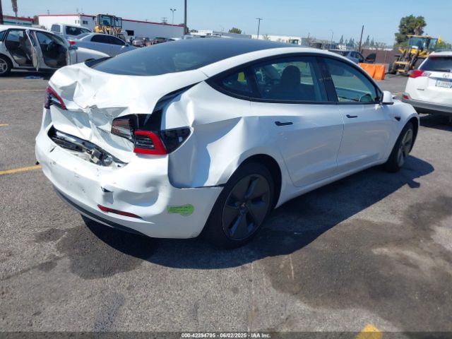 2023 TESLA MODEL 3 5YJ3E1EA9PF459142 Photo 3