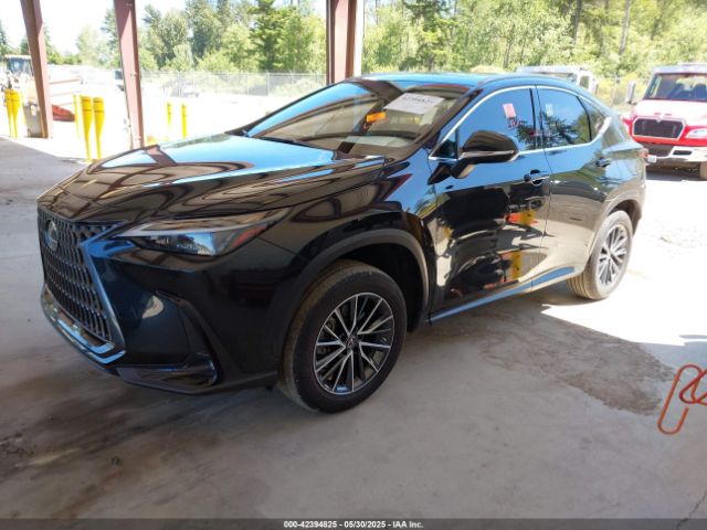 JTJGGCEZ4N5003834 Lexus Nx 350 Premium