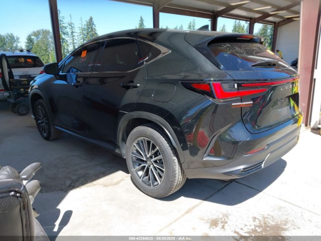 JTJGGCEZ4N5003834 Lexus Nx 350 Premium