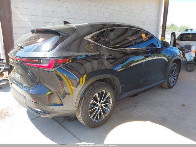 JTJGGCEZ4N5003834 Lexus Nx 350 Premium