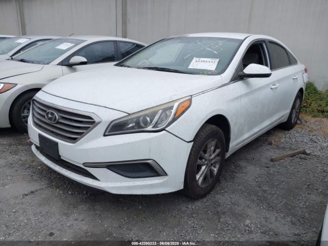 5NPE24AFXGH379662 Hyundai SONATA SE