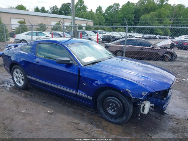 2013 FORD MUSTANG 1ZVBP8AM4D5227735