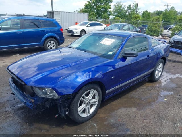 2013 FORD MUSTANG 1ZVBP8AM4D5227735 Photo 1