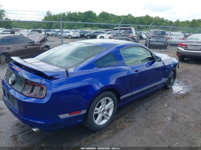 2013 FORD MUSTANG 1ZVBP8AM4D5227735 Photo 3
