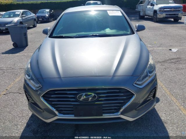 5NPE34AF1JH624983 Hyundai SONATA SEL