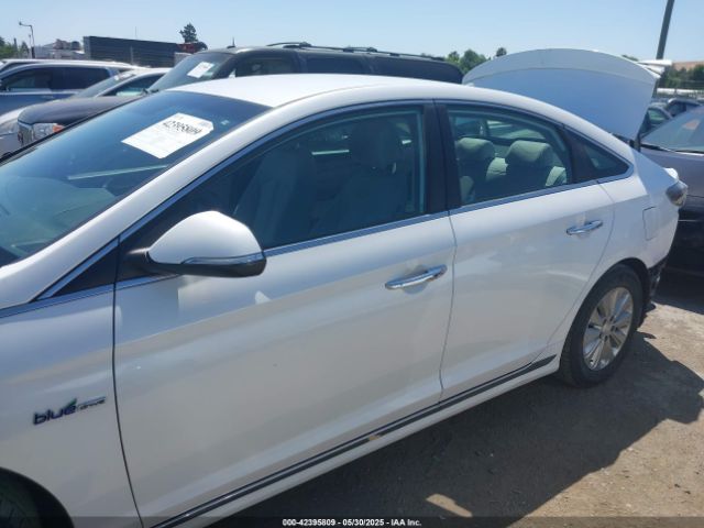 KMHE24L12HA046636 Hyundai Sonata Hybrid Se