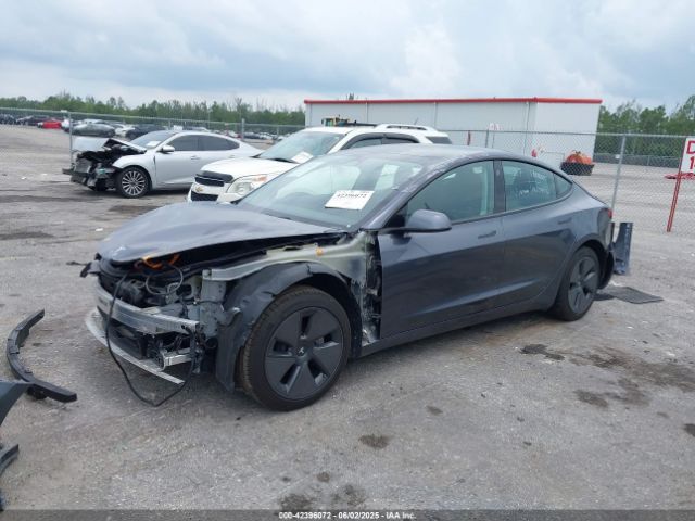 2023 TESLA MODEL 3 5YJ3E1EAXPF434783 Photo 1