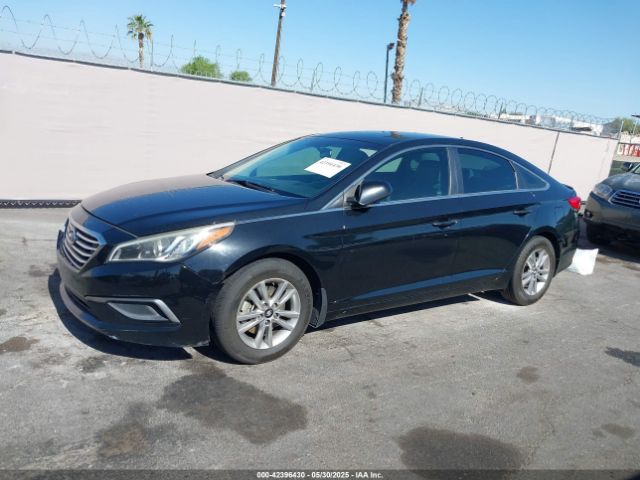 5NPE24AF0GH305666 Hyundai SONATA SE