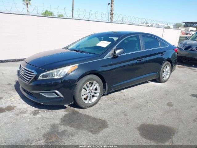 5NPE24AF0GH305666 Hyundai SONATA SE
