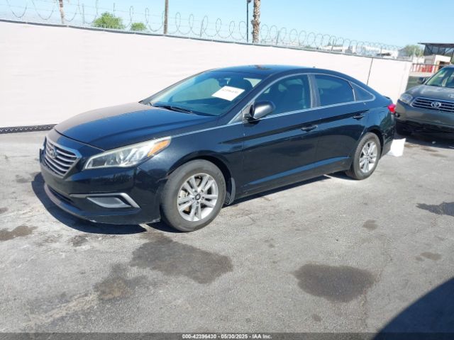 5NPE24AF0GH305666 Hyundai SONATA SE