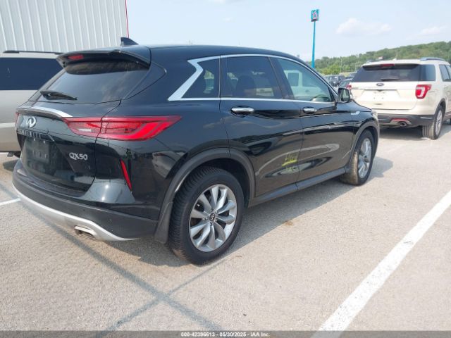 2022 INFINITI QX50 3PCAJ5AB2NF109454 Photo 3