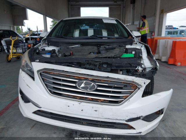 5NPE24AF5HH520235 Hyundai Sonata