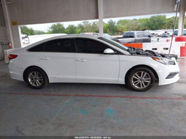 5NPE24AF5HH520235 Hyundai Sonata