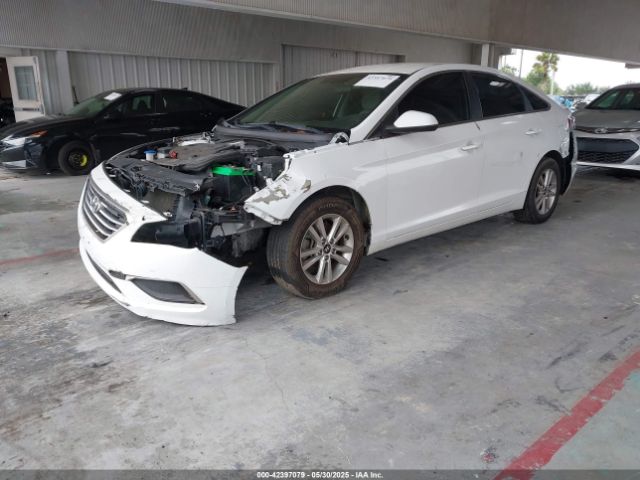 5NPE24AF5HH520235 Hyundai Sonata