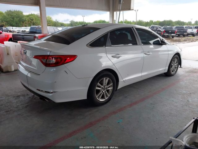 5NPE24AF5HH520235 Hyundai Sonata