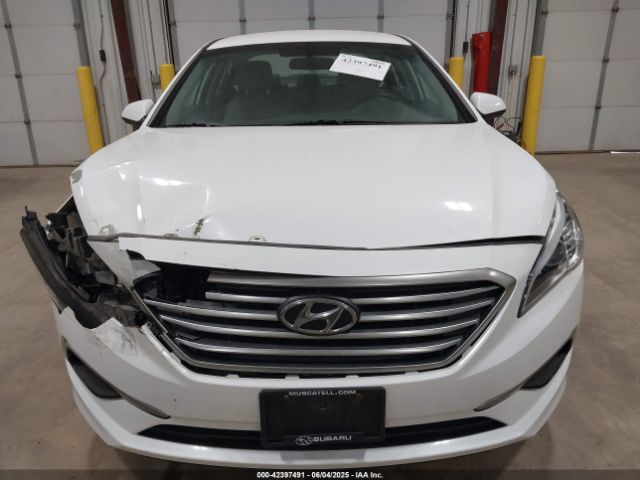 5NPE24AF3HH536160 Hyundai Sonata
