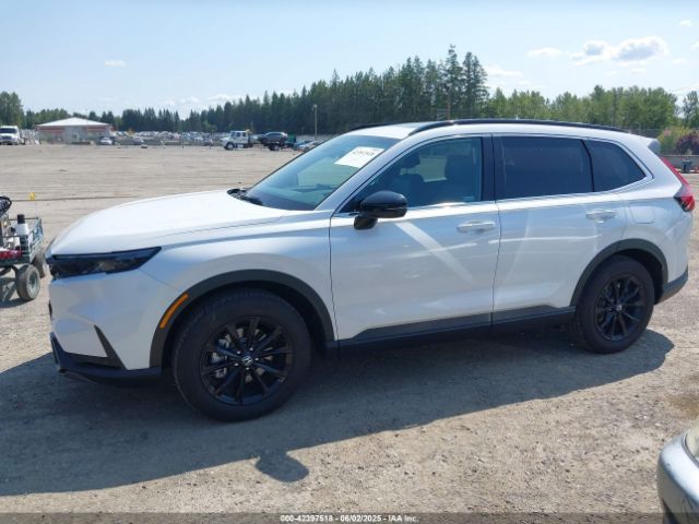 5J6RS6H80RL030409 Honda Cr-v Hybrid Sport-l