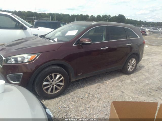 5XYPGDA30HG252783 KIA Sorento 2.4l Lx