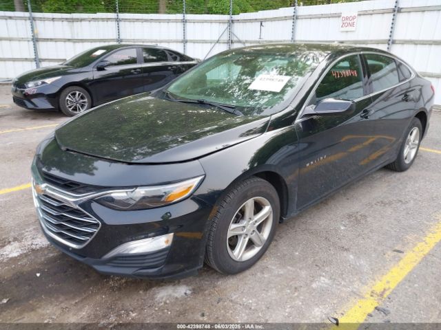1G1ZC5ST1LF063640 Chevrolet Malibu Fwd 1fl