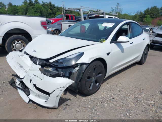 2023 TESLA MODEL 3 5YJ3E1EA6PF552295 Photo 1