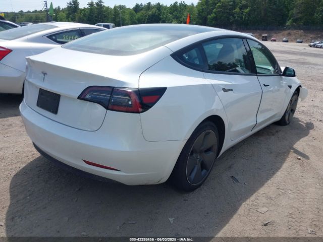 2023 TESLA MODEL 3 5YJ3E1EA6PF552295 Photo 3