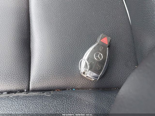 2017 MERCEDES-BENZ GLA 250 WDCTG4GB2HJ303014 Photo 10