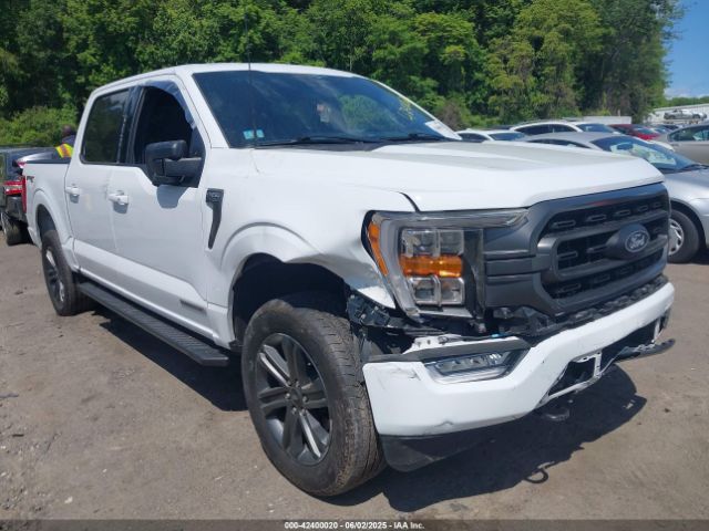 2023 FORD F-150 1FTFW1ED1PFD10014