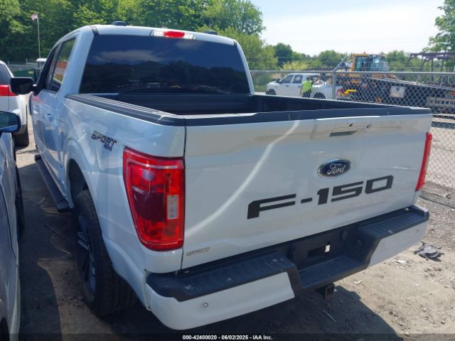 2023 FORD F-150 1FTFW1ED1PFD10014 Photo 2