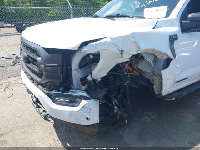 2023 FORD F-150 1FTFW1ED1PFD10014 Photo 5