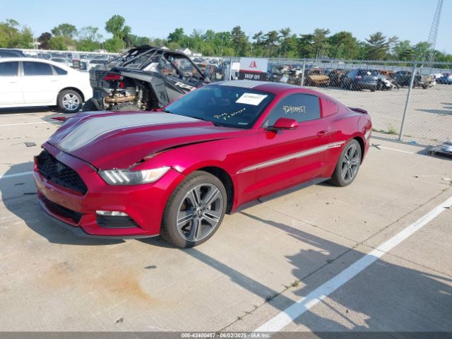 2017 FORD MUSTANG 1FA6P8AMXH5226346 Photo 1