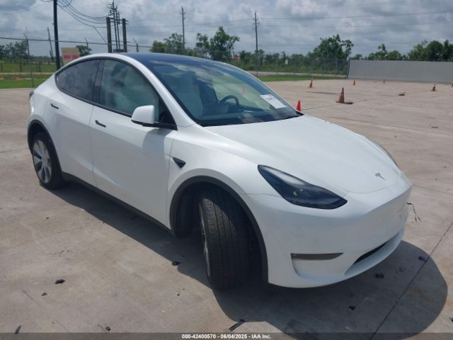 2022 TESLA MODEL Y 7SAYGDEE1NF533786 Photo 0