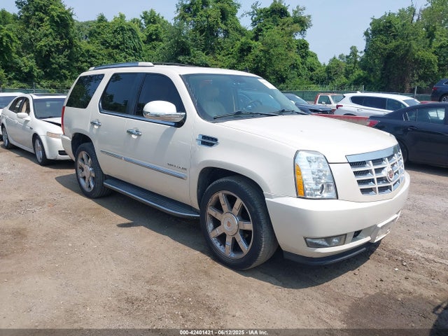 2013 CADILLAC ESCALADE 1GYS4BEF4DR346103 Photo 0