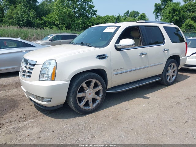 2013 CADILLAC ESCALADE 1GYS4BEF4DR346103 Photo 1