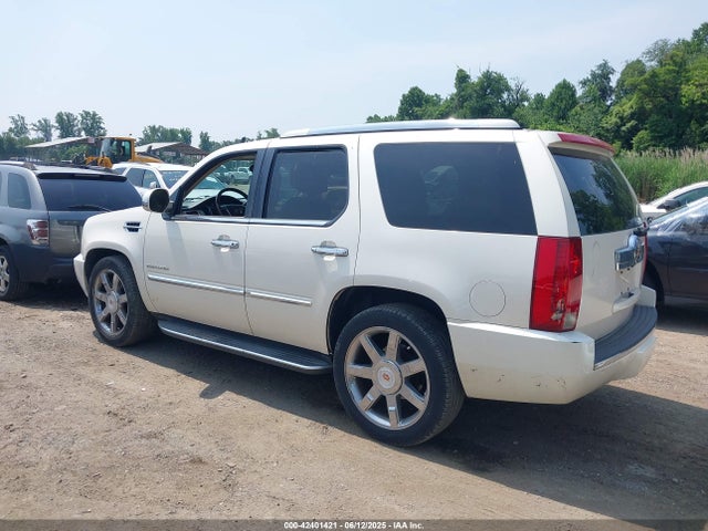 2013 CADILLAC ESCALADE 1GYS4BEF4DR346103 Photo 2