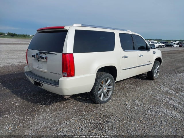 2009 CADILLAC ESCALADE ESV 1GYFK26239R287345 Photo 3
