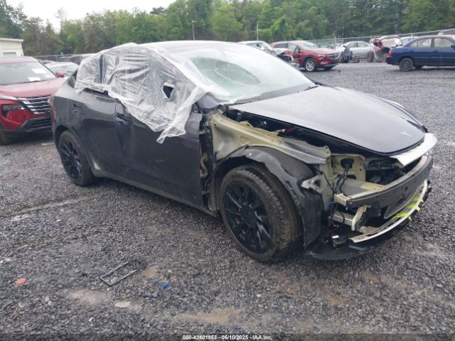 2023 TESLA MODEL Y 7SAYGDEE9PF872654 Photo 0