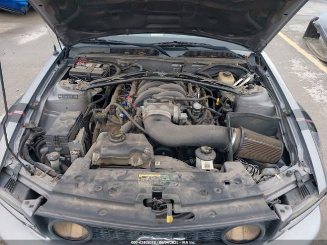 2006 FORD MUSTANG 1ZVHT82H065132924 Photo 9