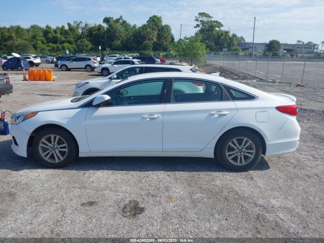 5NPE24AF8HH506586 Hyundai Sonata