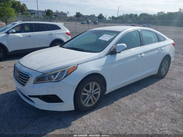5NPE24AF8HH506586 Hyundai Sonata