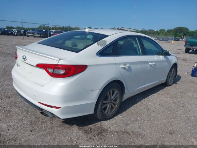 5NPE24AF8HH506586 Hyundai Sonata