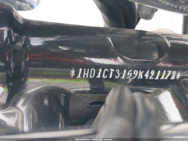 2009 HARLEY-DAVIDSON XL1200 1HD1CT3159K421178 Photo 9