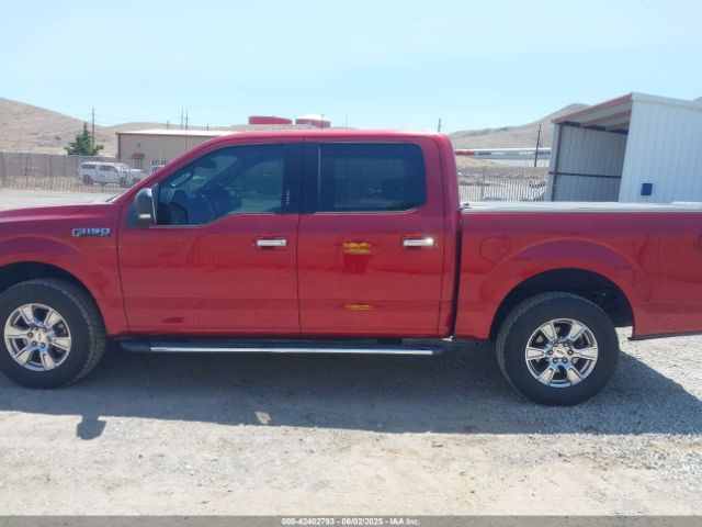 1FTEW1EP5GKE75447 Ford F-150 Xlt