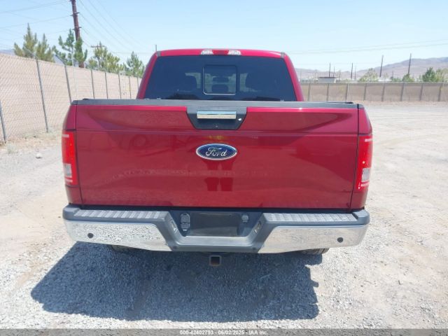 1FTEW1EP5GKE75447 Ford F-150 Xlt